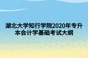 湖北大學(xué)知行學(xué)院2020年專升本會計(jì)學(xué)基礎(chǔ)考試大綱