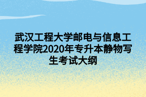 武漢工程大學(xué)郵電與信息工程學(xué)院2020年專升本靜物寫生考試大綱