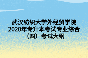 武漢紡織大學(xué)外經(jīng)貿(mào)學(xué)院2020年專升本考試專業(yè)綜合（四）考試大綱