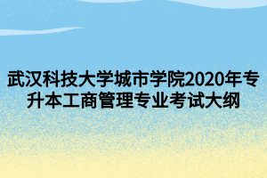 武漢科技大學城市學院2020年專升本工商管理專業(yè)考試大綱