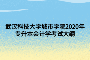 武漢科技大學(xué)城市學(xué)院2020年專升本會計學(xué)考試大綱