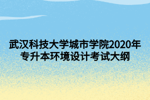 武漢科技大學(xué)城市學(xué)院2020年專升本環(huán)境設(shè)計(jì)考試大綱