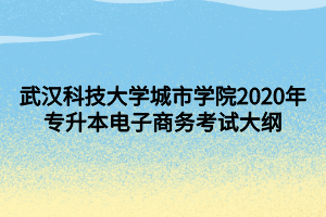 武漢科技大學城市學院2020年專升本電子商務考試大綱