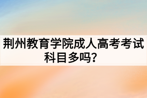 荊州教育學(xué)院成人高考考試科目多嗎？