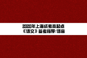 2020年上海成考高起點(diǎn)《語文》備考指導(dǎo)_語音