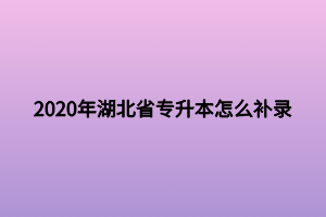 2020年湖北省專升本怎么補(bǔ)錄