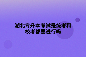 湖北專升本考試是統(tǒng)考和?？级家M行嗎