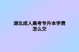 湖北成人高考專升本學(xué)費怎么交