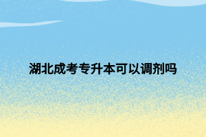 湖北成考專升本可以調(diào)劑嗎