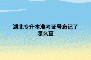 湖北專升本準(zhǔn)考證號忘記了怎么查