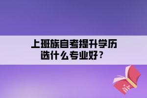 上班族自考提升學歷選什么專業(yè)好？