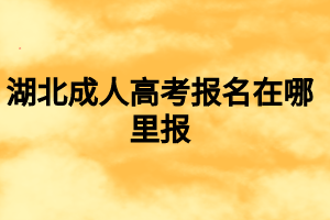 湖北成人高考報名在哪里報