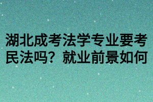 湖北成考法學(xué)專業(yè)要考民法嗎？就業(yè)前景如何