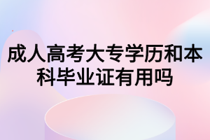 成人高考大專學(xué)歷和本科畢業(yè)證有用嗎