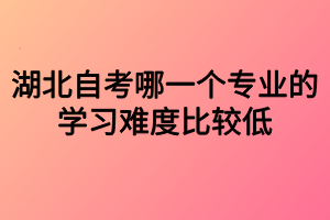 湖北自考哪一個(gè)專業(yè)的學(xué)習(xí)難度比較低