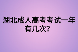 湖北成人高考考試一年有幾次？