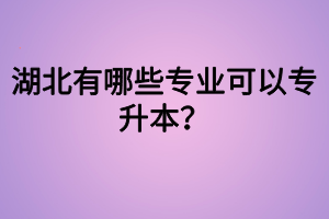 湖北有哪些專業(yè)可以專升本？