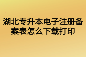 湖北專升本電子注冊(cè)備案表怎么下載打印？