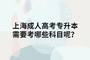 上海成人高考專升本需要考哪些科目呢？