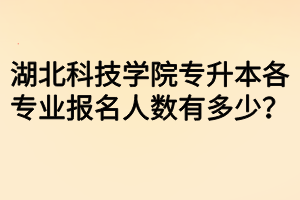 湖北科技學(xué)院專(zhuān)升本各專(zhuān)業(yè)報(bào)名人數(shù)有多少？