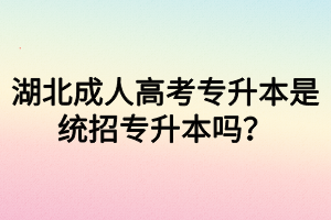 湖北成人高考專升本是統(tǒng)招專升本嗎？