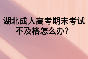 湖北成人高考期末考試不及格怎么辦？