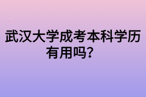 武漢大學(xué)成考本科學(xué)歷有用嗎？