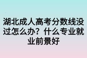 湖北成人高考分?jǐn)?shù)線沒過怎么辦？什么專業(yè)就業(yè)前景好