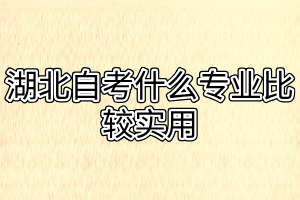 湖北自考什么專業(yè)比較實用