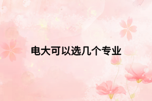 電大可以選幾個專業(yè)