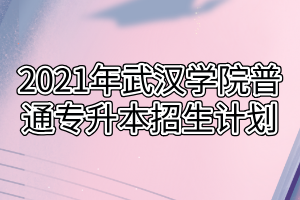 2021年武漢學院普通專升本招生計劃