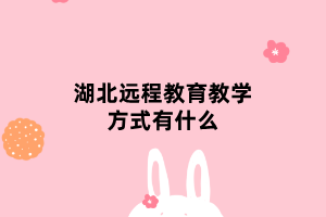 湖北遠(yuǎn)程教育教學(xué)方式有什么