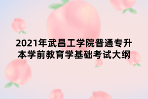 2021年武昌工學(xué)院普通專升本學(xué)前教育學(xué)基礎(chǔ)考試大綱