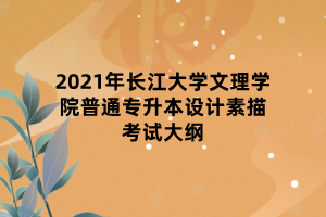 2021年長江大學(xué)文理學(xué)院普通專升本設(shè)計(jì)素描考試大綱