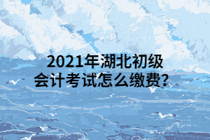 2021年湖北初級(jí)會(huì)計(jì)考試怎么繳費(fèi)？