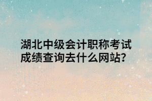 湖北中級會計職稱考試成績查詢?nèi)ナ裁淳W(wǎng)站？