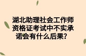 湖北助理社會(huì)工作師資格證考試中不實(shí)承諾會(huì)有什么后果？