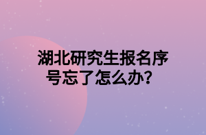 湖北研究生報名序號忘了怎么辦？