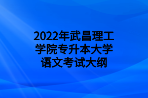 2022年武昌理工學(xué)院專升本大學(xué)語(yǔ)文考試大綱