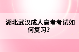 湖北武漢成人高考考試如何復(fù)習(xí)？