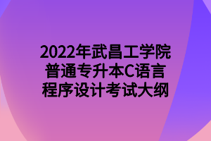 2022年武昌工學(xué)院普通專升本C語言程序設(shè)計考試大綱