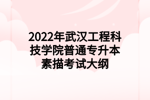 2022年武漢工程科技學(xué)院普通專升本素描考試大綱