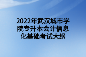 2022年武漢城市學院專升本會計信息化基礎考試大綱