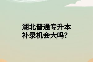 湖北普通專升本補(bǔ)錄機(jī)會大嗎？