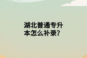 湖北普通專升本怎么補(bǔ)錄？