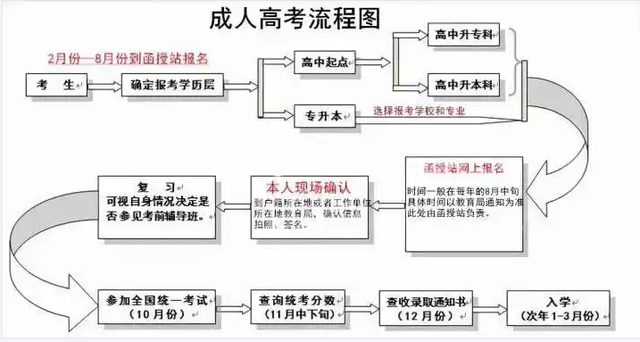 成人高考報(bào)考流程