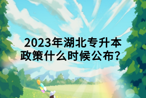 2023年湖北專升本政策什么時(shí)候公布？