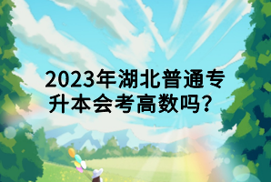 2023年湖北普通專升本會考高數(shù)嗎？